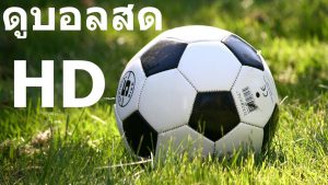 ดูบอลฟรี